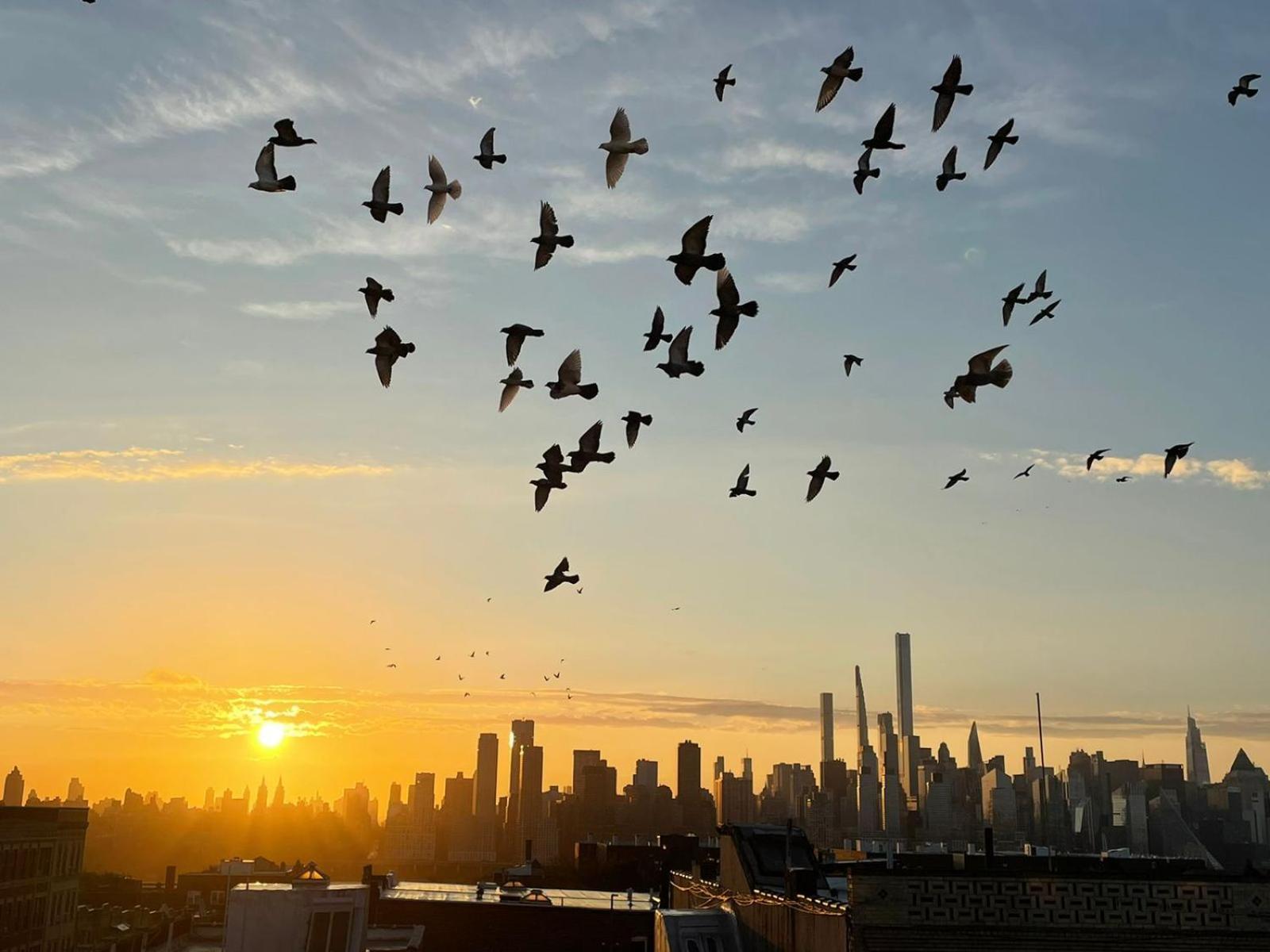 See Ny Now Sleeps 21 Юнион-Сити Экстерьер фото